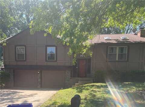 301 Street, Blue Springs, MO 64014