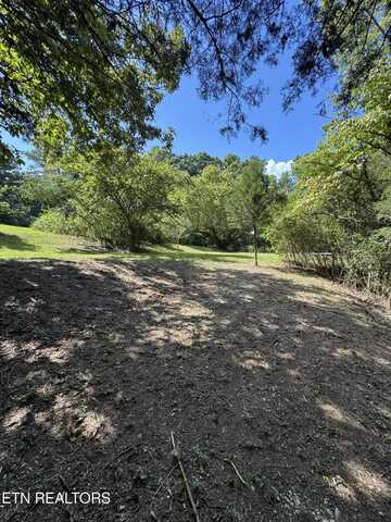 1703 River Rd, Decatur, TN 37322