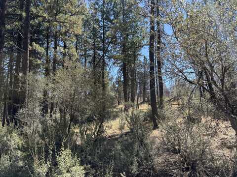 0 Jaguar Lane, Bonanza, OR 97623