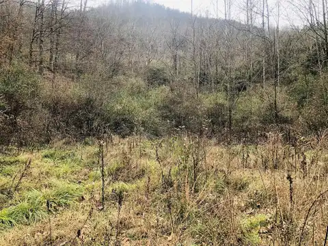 0 Carrion Branch, Whitesburg, KY 41858
