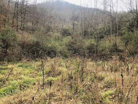 Carrion Branch, Whitesburg, KY 41858