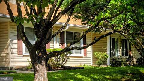 14652 KELMSCOT DR #236, SILVER SPRING, MD 20906