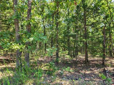 Trinchera Road, Edwards, MO 65326