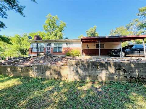 707 N Grand Avenue, Doniphan, MO 63935