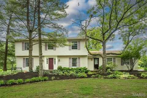 14564 Harleston Village Drive, Chesterfield, MO 63017