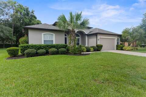 13698 WEATHERSTONE DRIVE, SPRING HILL, FL 34609