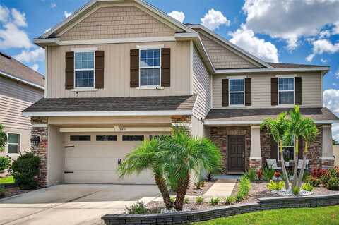 8415 OLIVE BROOK DRIVE, WESLEY CHAPEL, FL 33545