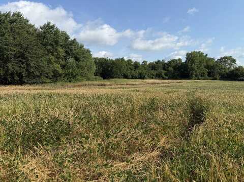 1400 (apx) W Exchange Street, Crete, IL 60417