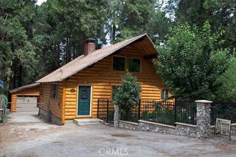 9376 Dogwood Lane, Forest Falls, CA 92339