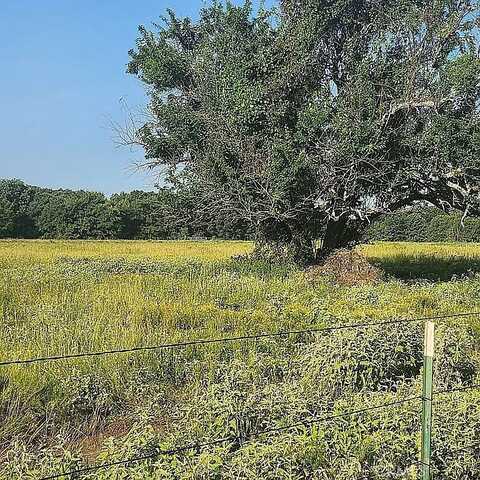 277 5552 Private Road, Outside Area (Outside Ca), TX 75410