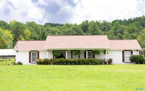 10527 US Hwy 278, Piedmont, AL 36272