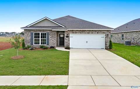 229 Jerrie Lynn Boulevard, Meridianville, AL 35759