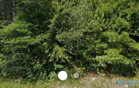 1905 19th Avenue, Attalla, AL 35954