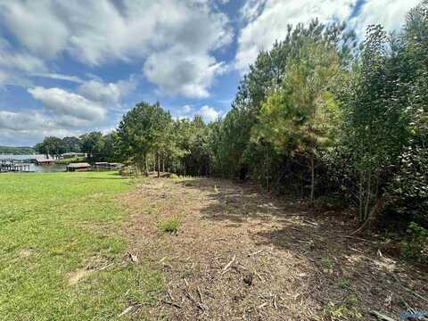 Lot 4 County Road 520, Centre, AL 35960