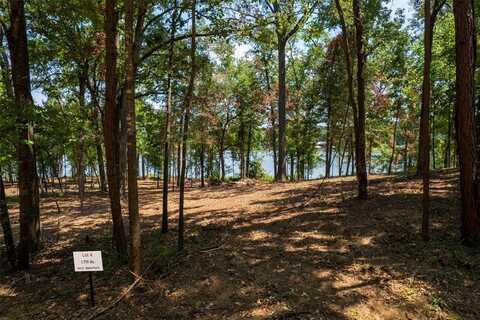 Tbd PR-52447, Leesburg, TX 75451