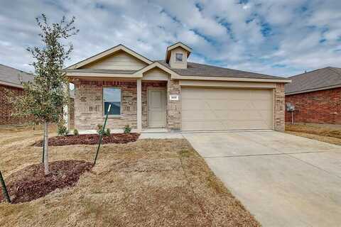 2813 Ozark Circle, Little Elm, TX 75068