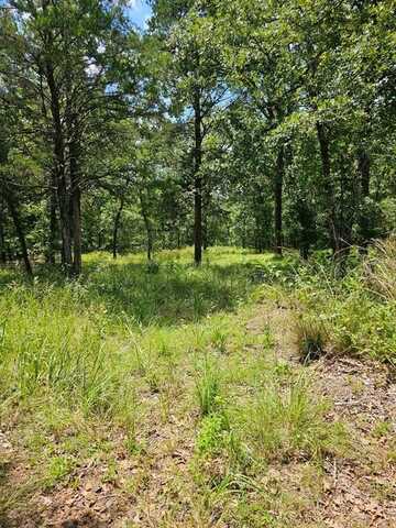 Lt 377 Timber Ridge, Larue, TX 75770