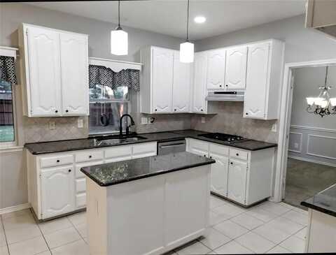 821 Weeping Willow Court, Allen, TX 75002