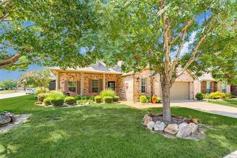 401 Black Diamond Court, Fairview, TX 75069