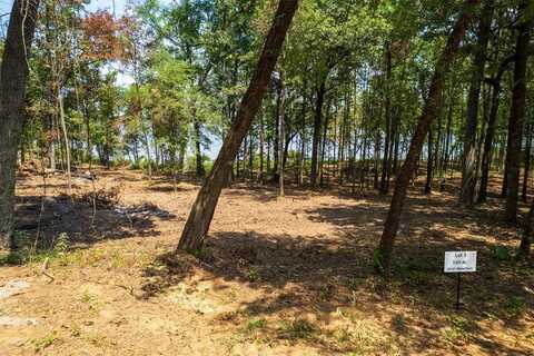 Tbd PR52447, Leesburg, TX 75451