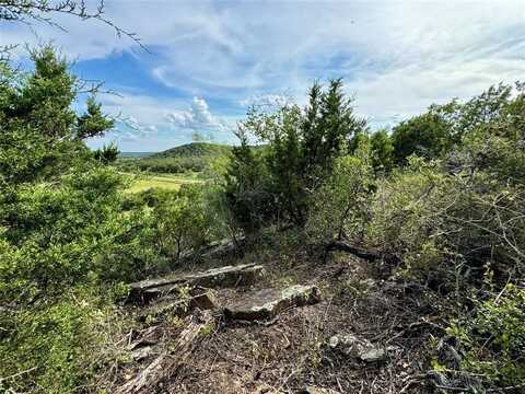 Tbd Finis Road, Graham, TX 76450