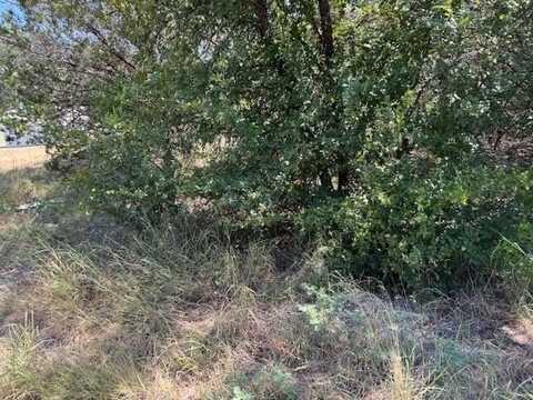 5103 Stoneridge Drive, Granbury, TX 76048