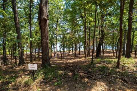 Tbd Private Road 52447, Leesburg, TX 75451