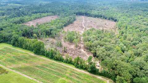 0 County Road 59, Palmetto, AL 35481