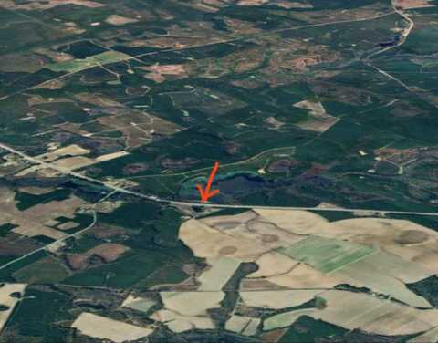 10664 Burton's Ferry Rd., Allendale, SC 29810