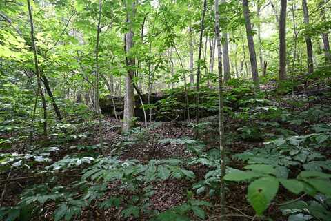 000 Swinging Bridges Road, Montreal, MO 65591