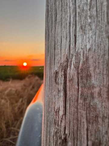 0 County Line Road, Leighton, AL 35661