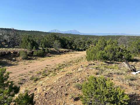 Rio Cucharas lot: 905, Walsenburg, CO 81089