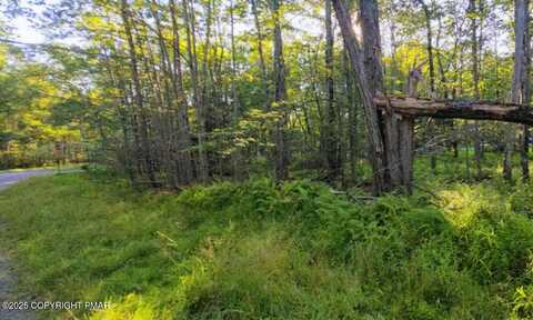 260 Pontiac Path, Pocono Lake, PA 18347