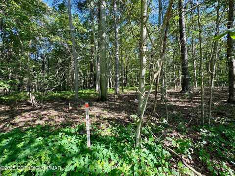 Lot 1 Ross Road, Saylorsburg, PA 18353