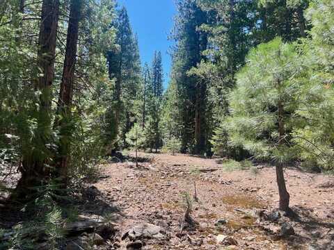 1701 Knobcone Trail, Johnsville, CA 96103