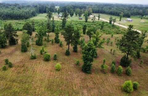 0 Moses Cove, Picayune, MS 39466