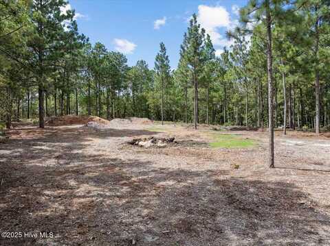 1074 Chicken Plant Road, Aberdeen, NC 28315