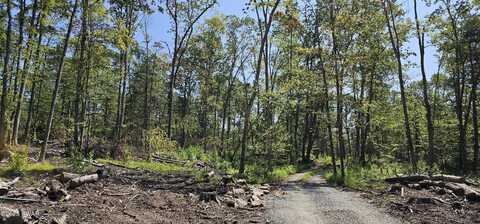Lot 8.1 Eckes Road, Narrowsburg, NY, NY 12764