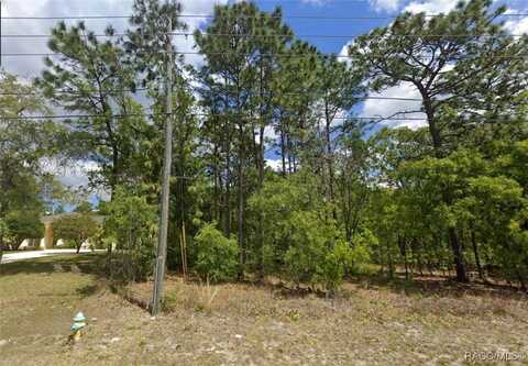 2877 W Pine Ridge Boulevard, Beverly Hills, FL 34465