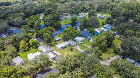 11650 E Laurel Court, Floral City, FL 34436
