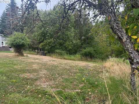 5th and 6th ST, Vernonia, OR 97064