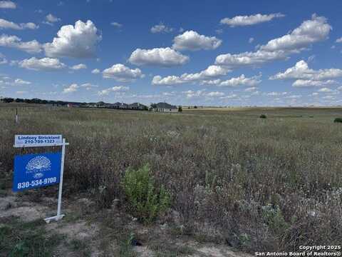 140 Turnberry, La Vernia, TX 78121