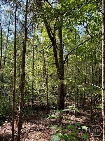 0 Best Bridge Road, Sylvania, GA 30467