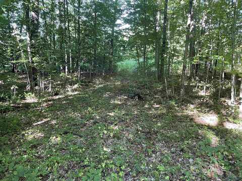 Anderson, Potsdam, NY 13676