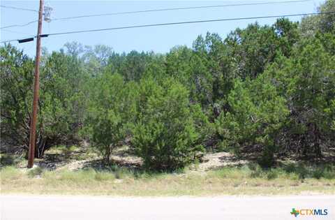 1105 Rotherman, Canyon Lake, TX 78133