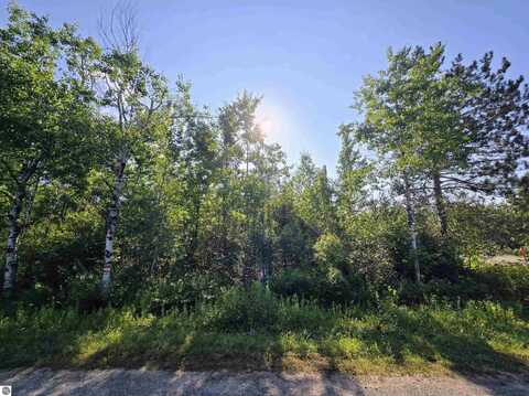 364 Pencil Lake Road, Elmira, MI 49730