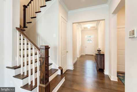 24340 WHITE ELM PLACE, ALDIE, VA 20105