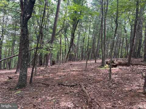 TIMBER RIDGE, MOUNT JACKSON, VA 22842