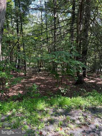 0 CRABAPPLE, MOUNT JACKSON, VA 22842