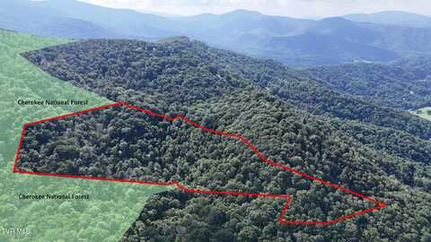 11.26ac Log Cabin Lane, Roan Mountain, TN 37687